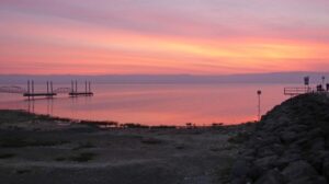 Category:April 2017 in Causeway Road - Wikimedia Commons